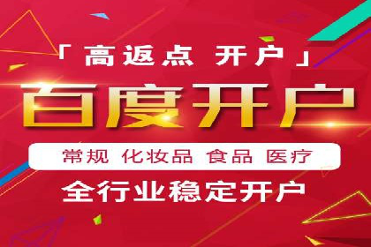 某行业领军企业的SEM广告投放策略